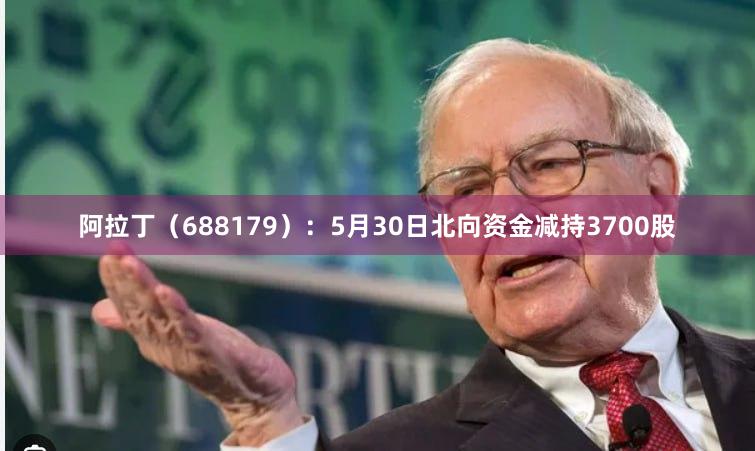 阿拉丁（688179）：5月30日北向资金减持3700股