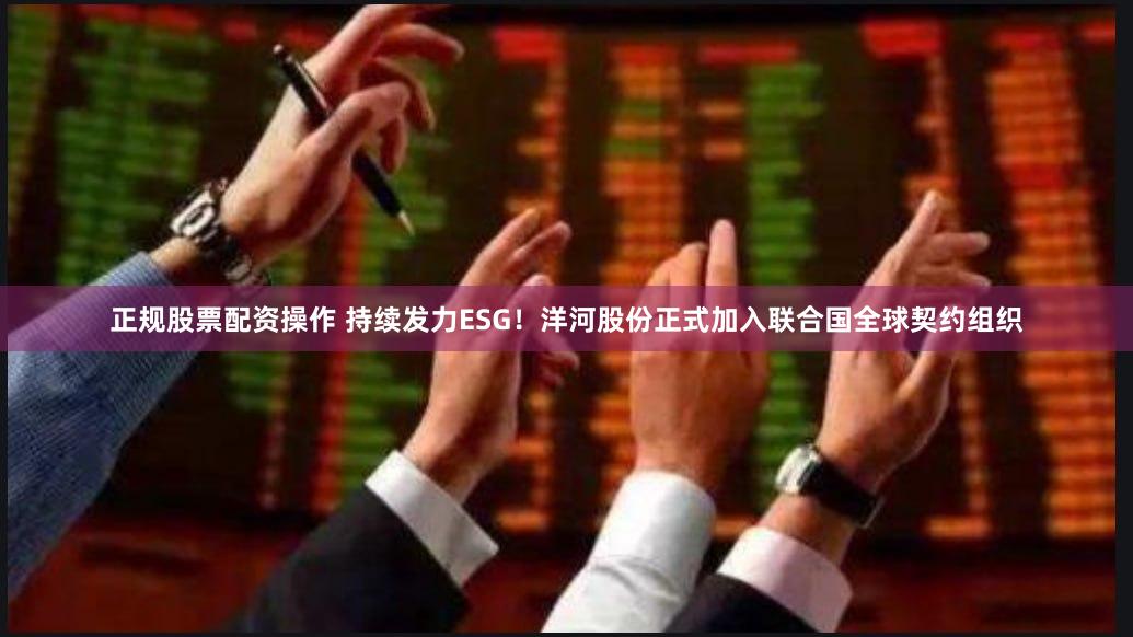 正规股票配资操作 持续发力ESG！洋河股份正式加入联合国全球契约组织