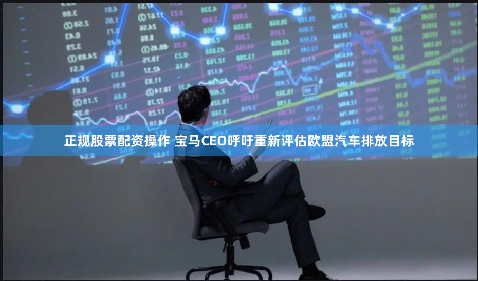 正规股票配资操作 宝马CEO呼吁重新评估欧盟汽车排放目标