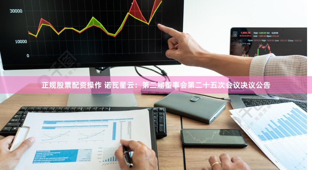 正规股票配资操作 诺瓦星云：第二届董事会第二十五次会议决议公告