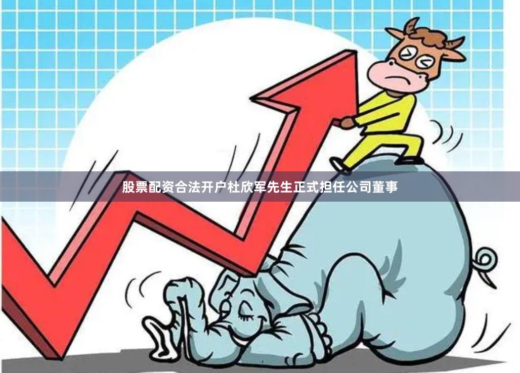 股票配资合法开户杜欣军先生正式担任公司董事