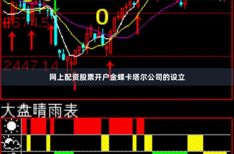 网上配资股票开户金蝶卡塔尔公司的设立